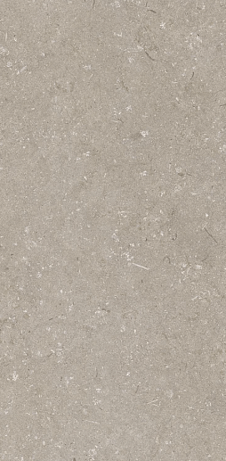 Shellstone Taupe 60x120 - фото 1