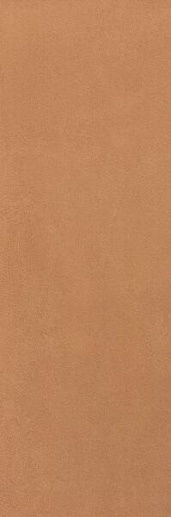 Summer Terracotta 30.5x91.5 RT - фото 1