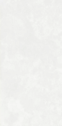 Central Park White 60x120 - K 701/MR - фото 1