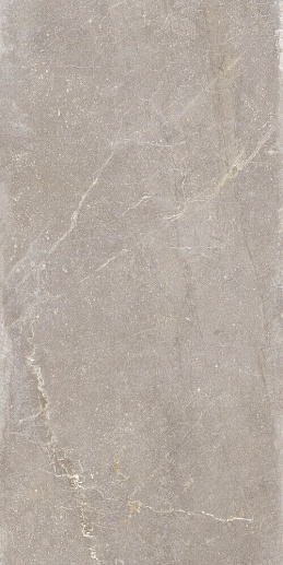 Bleuemix Taupe MATE 60x120 - фото 1