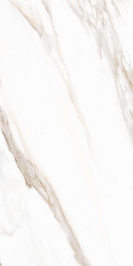 White Marble Calacatta Oro 61x122.2 Ret - фото 1