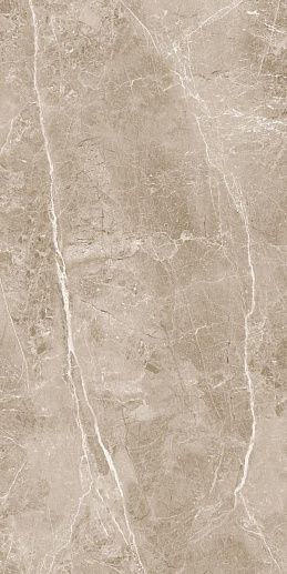 Obsidian Taupe 60x120 - фото 1