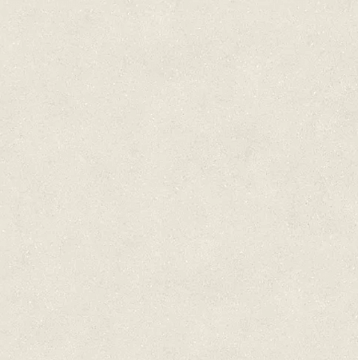 Terra Bone 120x120 - фото 1