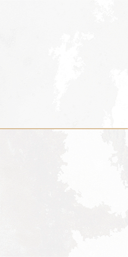 FS Tradition Square White 20x40 - фото 1