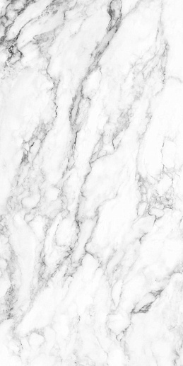 Arabescato Gris Polished 60x120 - фото 1