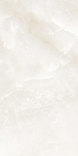 Pulido NPlus 60x120 Onix blanco NPlus - фото 1