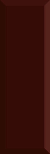 Monocolor Biselado Brillo Marron 10x30 - фото 1