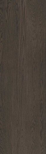 Kauri Moro 5.6 100x300 - фото 1