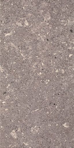 Aragorn Grys 30x60 - фото 1