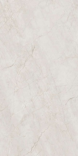 Stone Sahara Light Gray 60x120 - фото 1