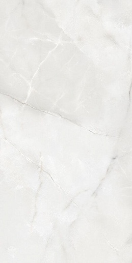 Onix Pro Moon Polished 60x120 - фото 1