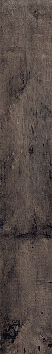 Aspen Dark 15x100 - фото 1