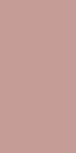 Monocolors Elite Peach 60x120 - фото 1