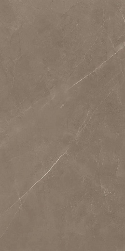 Stone Pietra Active Gray 60x120 - фото 1