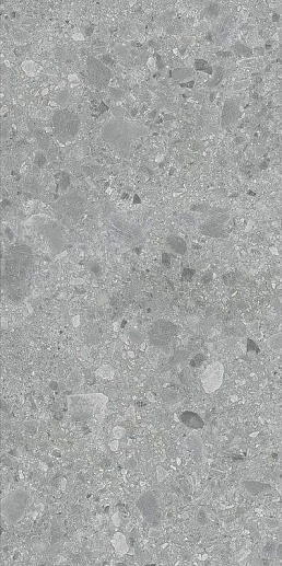 Ceppo di Gre Gris 60x120 - фото 1