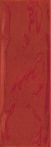 Royal Rojo 10x30 - фото 1