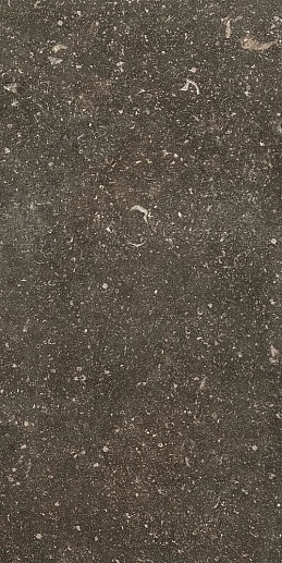 Atmospheres de Rex Desir Pat Smooth 40x80 - фото 1