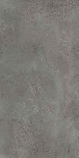 Tiffany Графитовый 60x120 - фото 1
