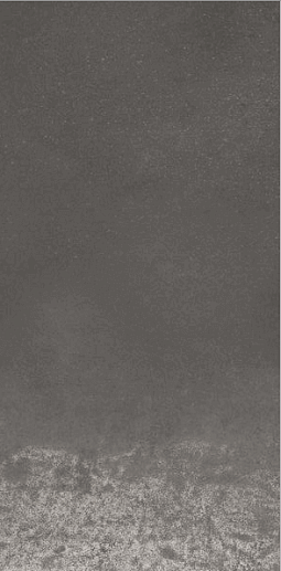 Evoque Coal 29.9x60 Lappato E - фото 1