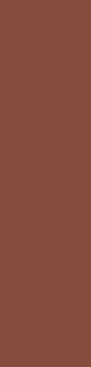 Flat Garnet Matt 7.5x30 - фото 1