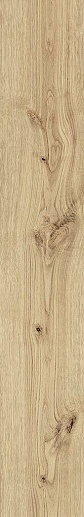 Exence Vanilla 20x120 - фото 1