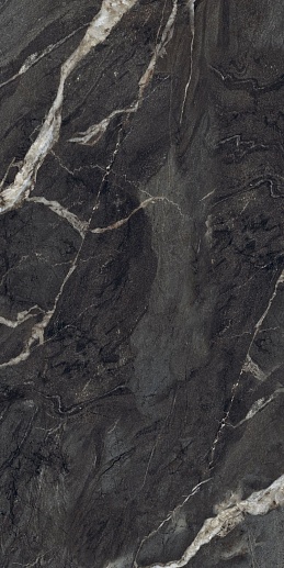 Camlin Черный 60x120 - фото 1