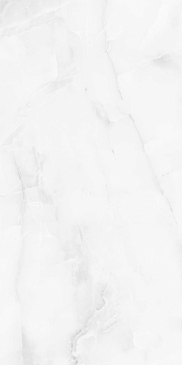 Palacio Antisky Grey Light Polished 60x120 - фото 1