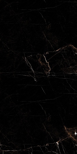 Eco Tropic Black 9 mm POLI 60x120 - фото 1