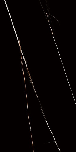 Lawa Black Черный 60x120 - фото 1