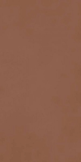 Decora Terracotta 60x120 - фото 1