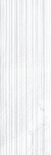 Stravaganza Roses Blanco 25x75 - фото 1