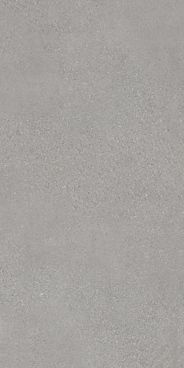 Fusione Grigio G 60x120 - фото 1
