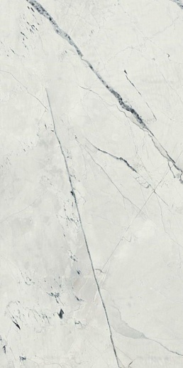 Black & Light Calacatta Satin 60x120 - фото 1