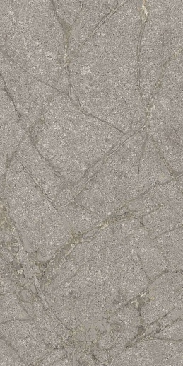 Memories Grey Soapstone 60x120 - фото 1
