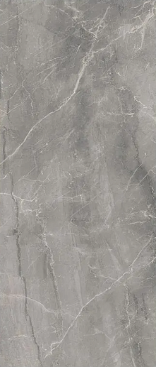 Synestesia Gray Marble Levigato 120x278 - Ls6s5x2 - фото 1