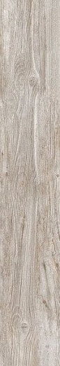 Da Vinci DV5 20x120 - фото 1