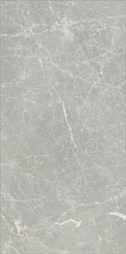 Exalt of Silver Light Nat Rett 30x60 - фото 1