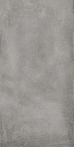Basic Grey 60x120 - фото 1
