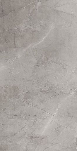 Remos Grey Mat 59.8x119.8 - фото 1