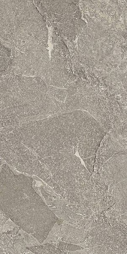 Cosmo Meteor Grey Rett 60x120 - фото 1