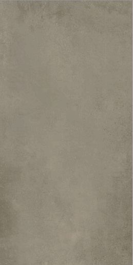 Evoque Taupe 60x120 - фото 1