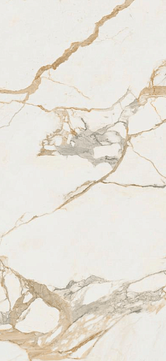 Medici Gold Natural 60x120 - фото 1