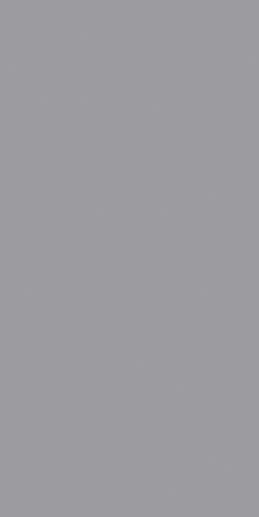 Croma Grey 49.1x98.2 - фото 1