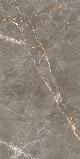 Shinestone Grey Pol 59.8x119.8 - фото 1