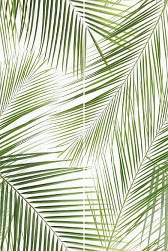 Brennero Tropic 50x75 - фото 1