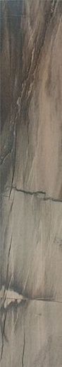 Jurassic Brown Nat-Rett 16.5x100 - фото 1