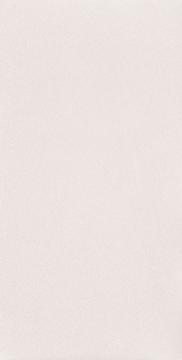 Perlina White 30.8x60.8 - фото 1