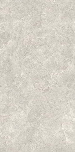 Platinum Leica Silk 160x320 - фото 1