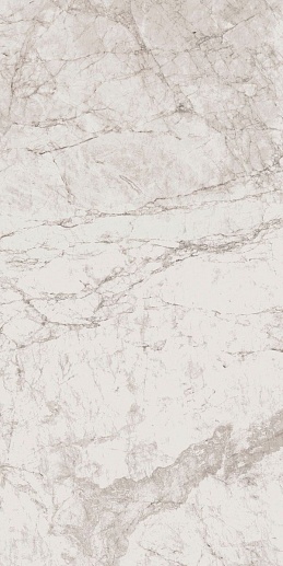 Century White 60x120 - фото 1