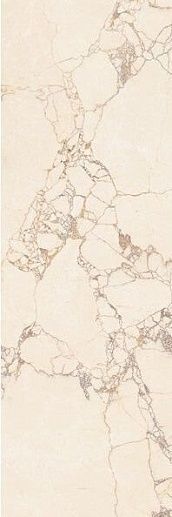 Ринальди Бежевый Темный 20x60 - фото 1